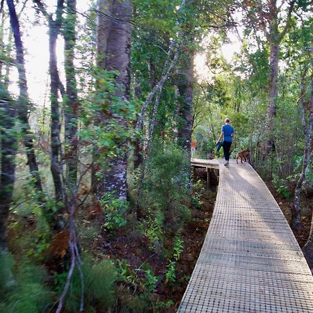 Sapphire Springs Holiday Park And Thermal Pools Katikati Exterior foto