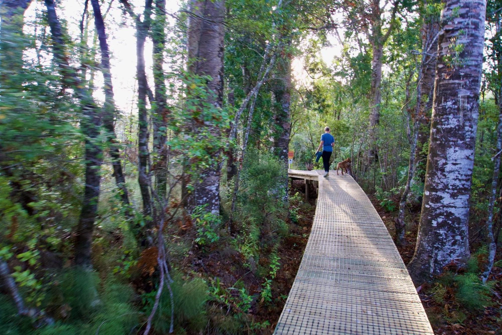 Sapphire Springs Holiday Park And Thermal Pools Katikati Exterior foto